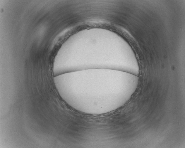 X0000079341016200612082019