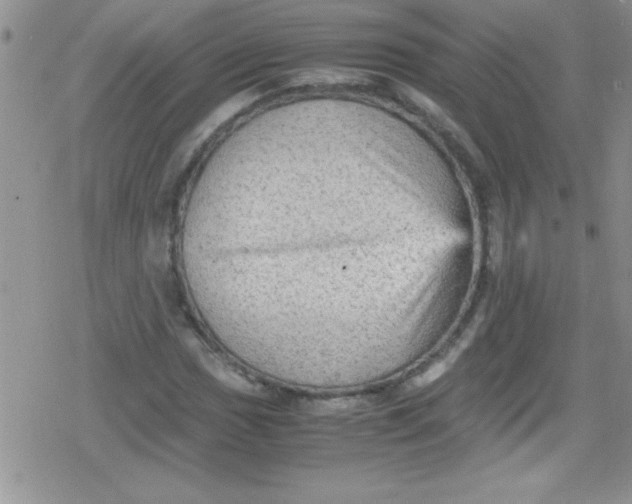 X0000079341017200612082019