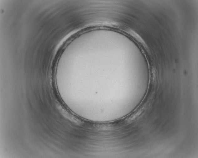 X0000079341020200612082019