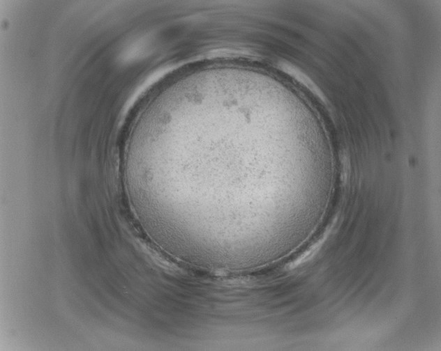 X0000079341021200612082019