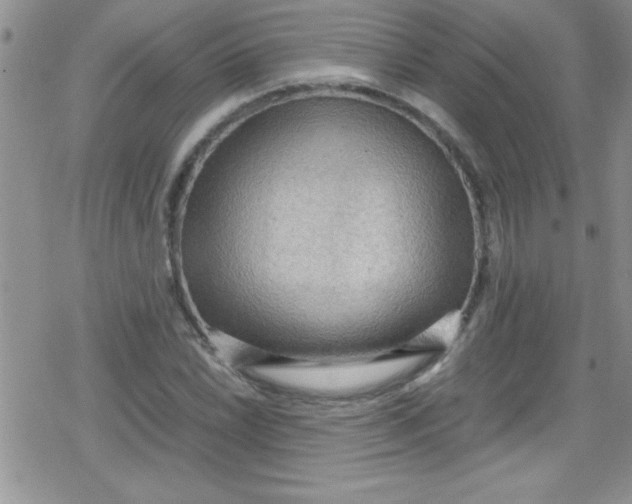 X0000079341022200612082019