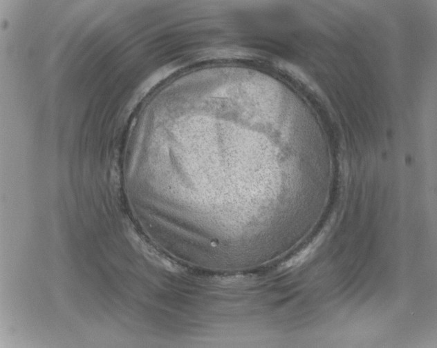 X0000079341025200612082019