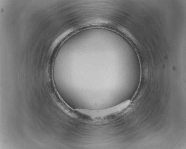 X0000079341026200612082019