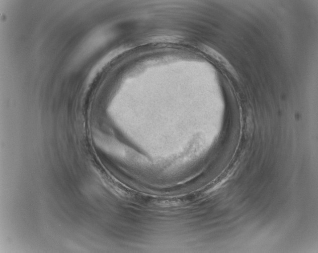 X0000079341027200612082019