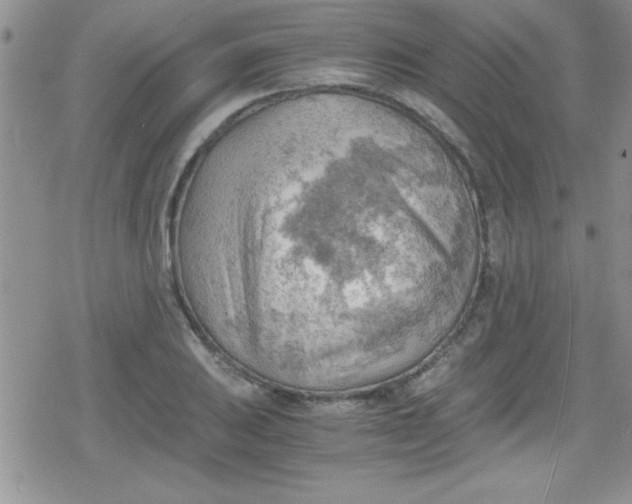 X0000079341031200612082019