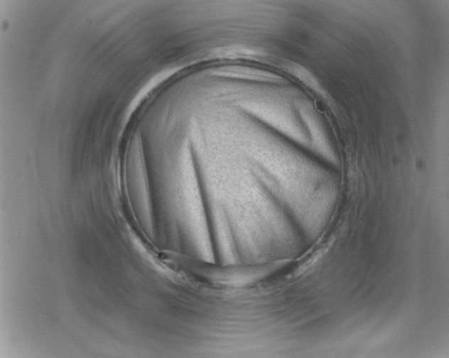 X0000079341032200612082019