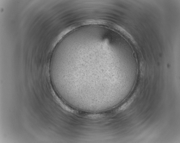 X0000079341033200612082019