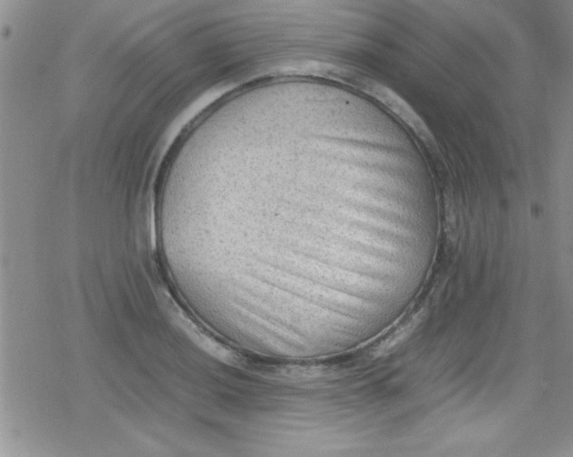 X0000079341036200612082019