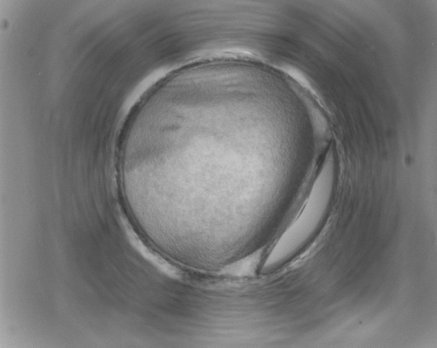 X0000079341038200612082019