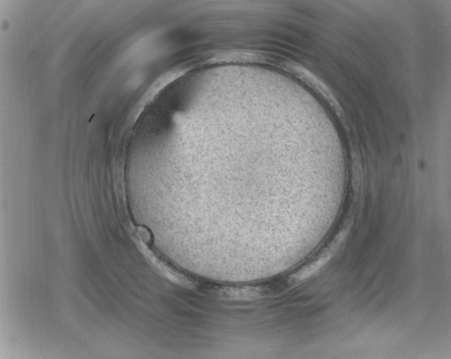 X0000079341041200612082019