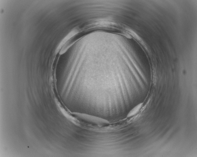 X0000079341042200612082019