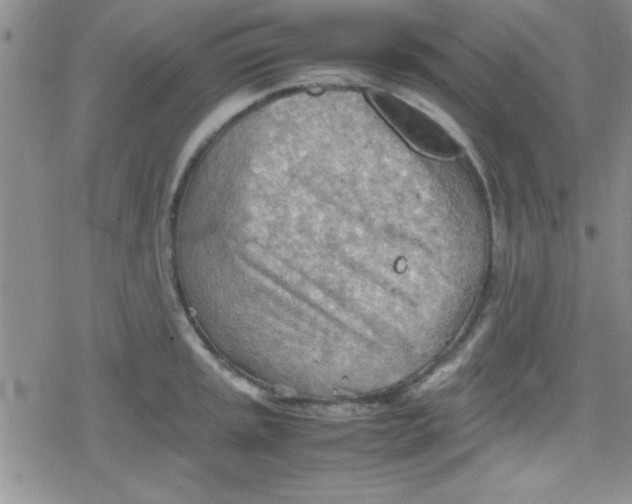 X0000079341045200612082019