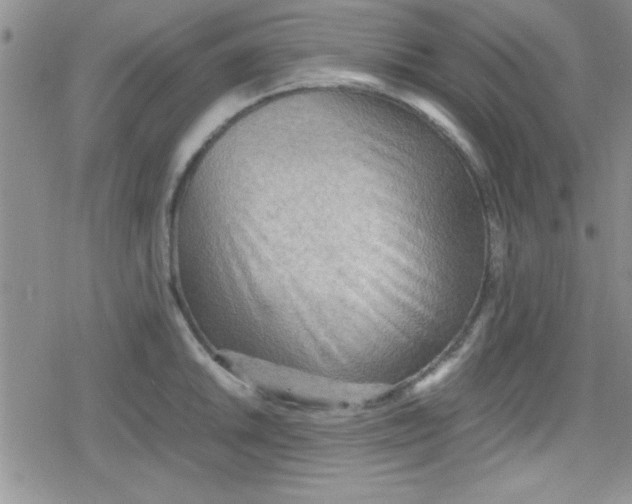 X0000079341046200612082019