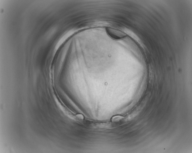 X0000079341047200612082019