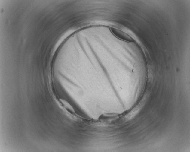 X0000079341048200612082019