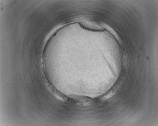 X0000079341051200612082019