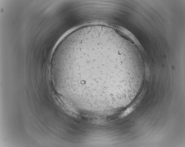 X0000079341052200612082019