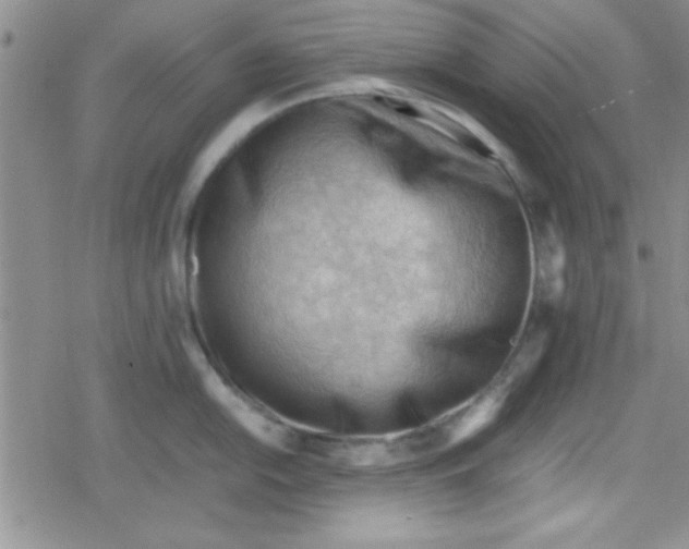 X0000079341054200612082019