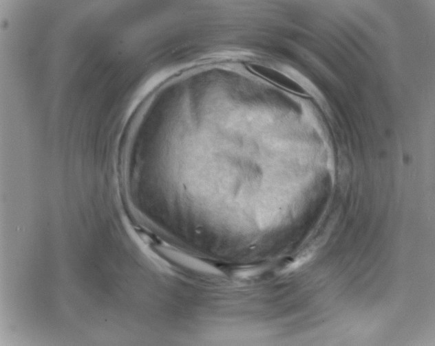 X0000079341055200612082019