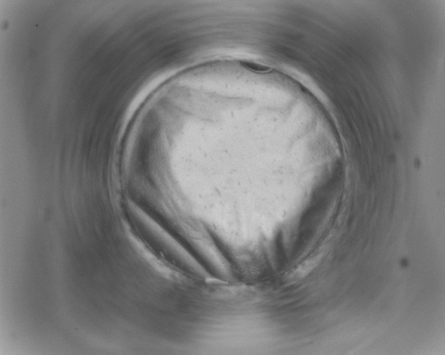 X0000079341056200612082019