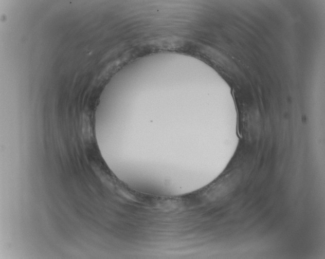 X0000079341058200612082019