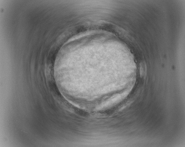 X0000079341059200612082019