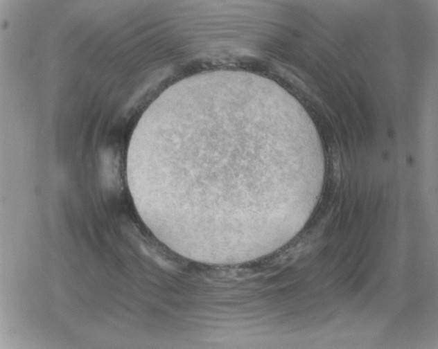 X0000079341060200612082019