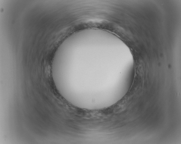 X0000079341061200612082019