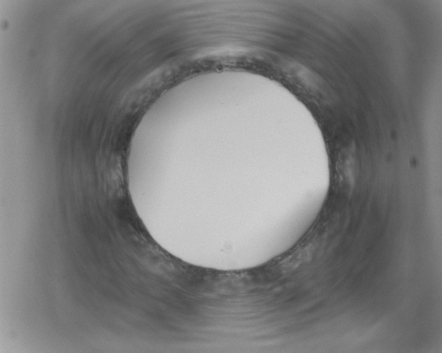 X0000079341062200612082019