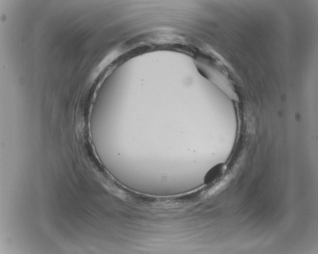 X0000079341065200612082018