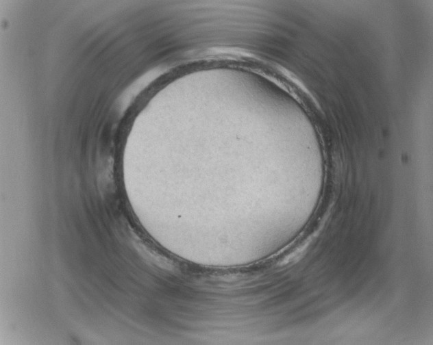 X0000079341066200612082018