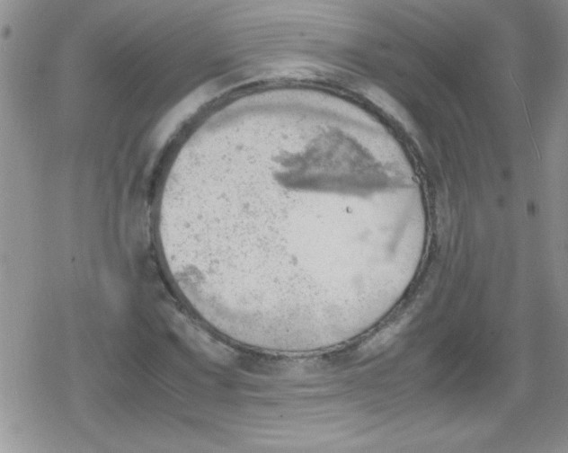 X0000079341067200612082018