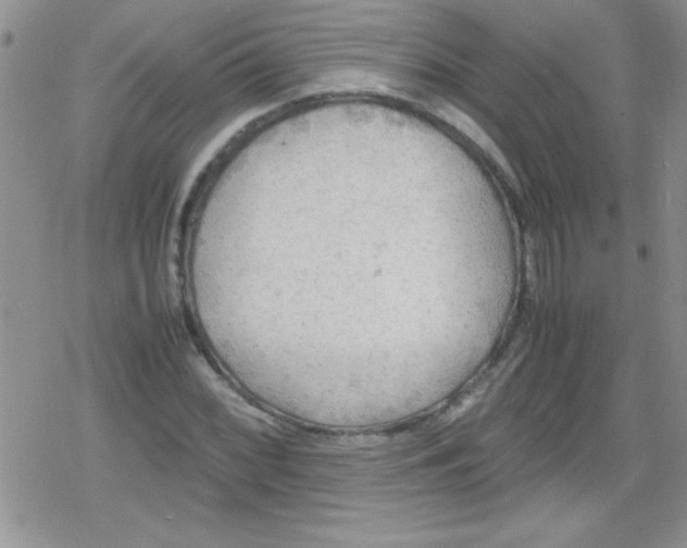 X0000079341068200612082018