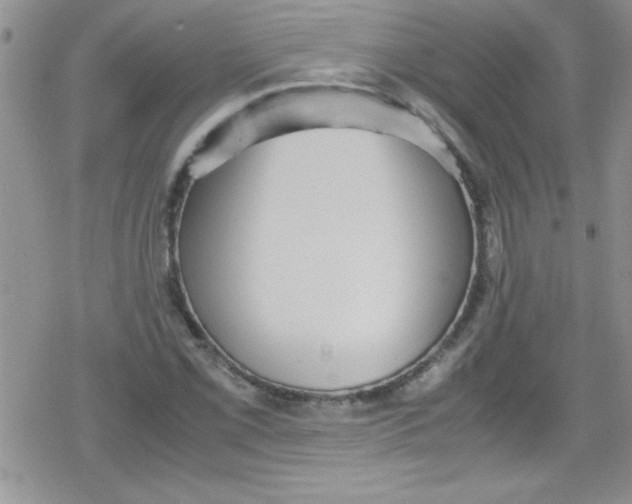 X0000079341069200612082018