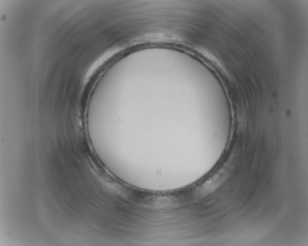 X0000079341070200612082018