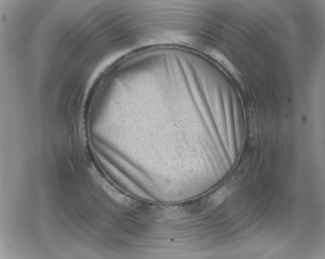 X0000079341072200612082018