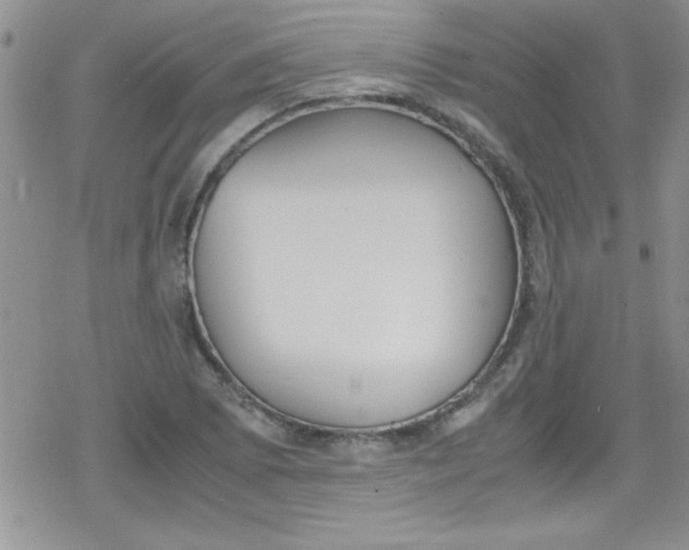 X0000079341073200612082018