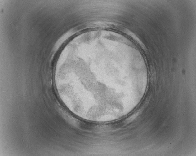 X0000079341075200612082018