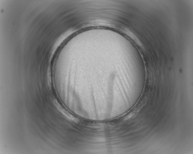 X0000079341076200612082018