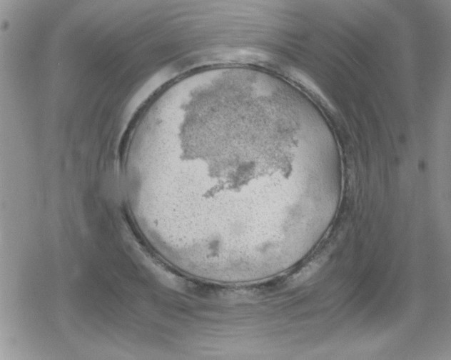 X0000079341079200612082018