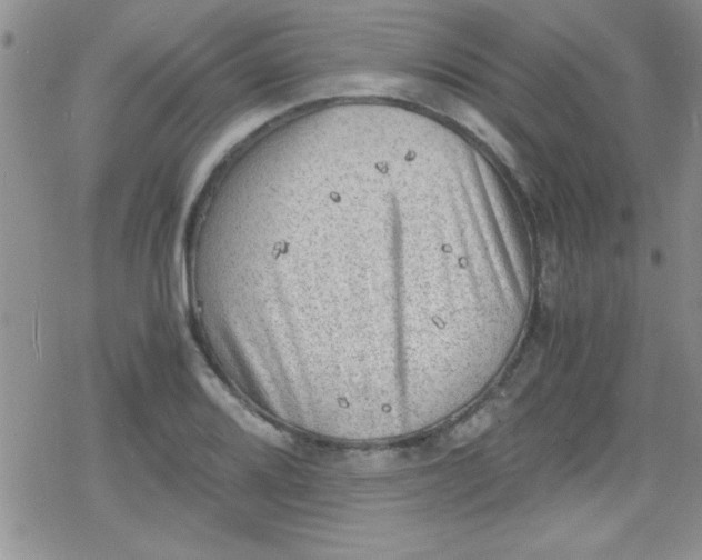 X0000079341080200612082018