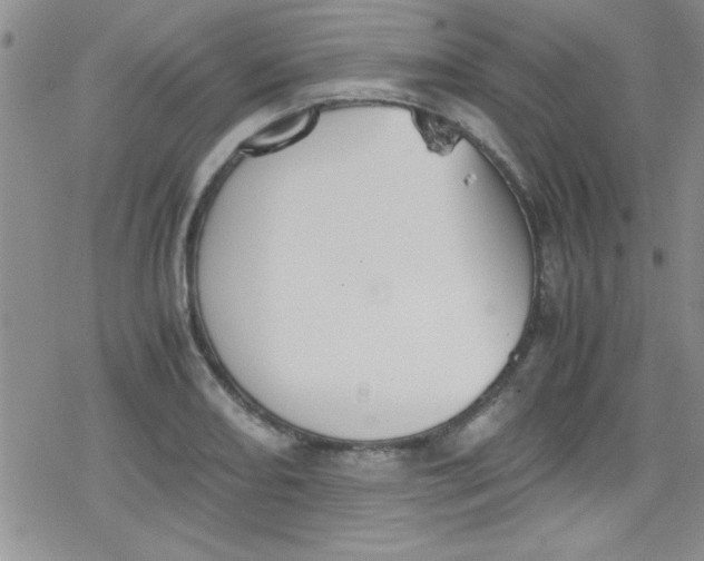 X0000079341082200612082018