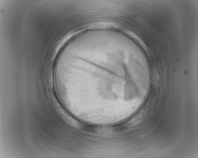 X0000079341083200612082018