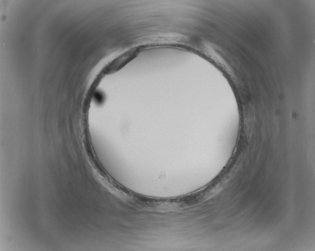 X0000079341085200612082018