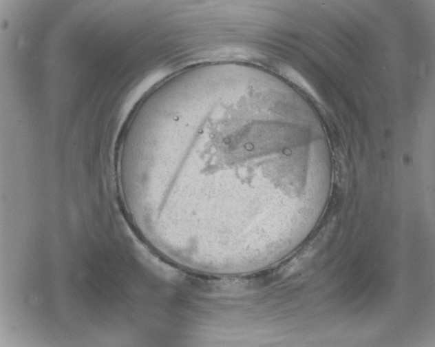 X0000079341087200612082018