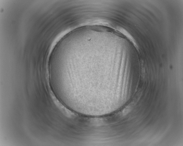 X0000079341088200612082018