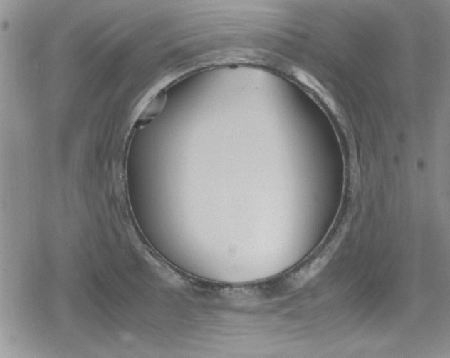 X0000079341089200612082018