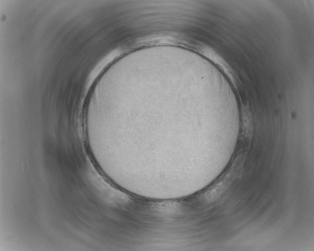 X0000079341090200612082018