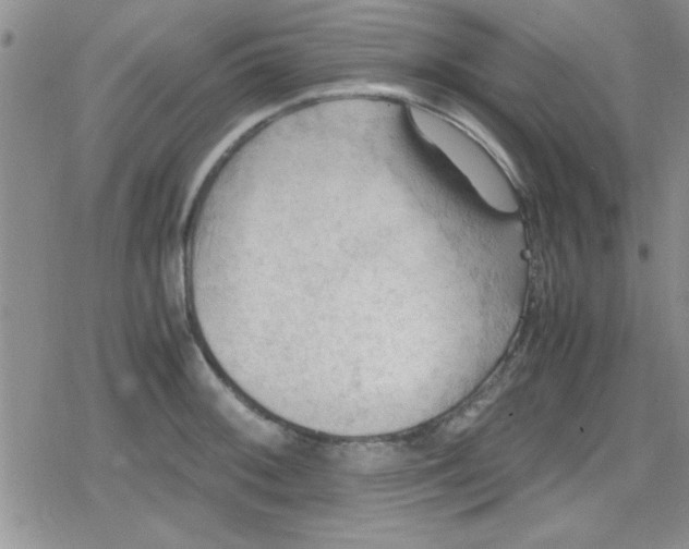 X0000079341092200612082018