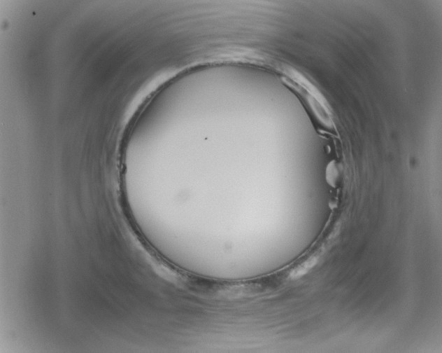 X0000079341093200612082018